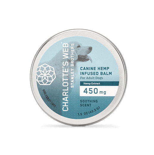 Charlotte's Web Hemp-Infused Balm for Dogs