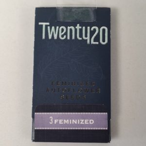 Twenty20 3ct Autoflowering Seeds, Assorted Strains