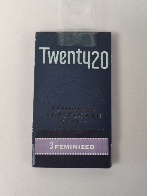 Twenty20 3ct Autoflowering Seeds, Assorted Strains