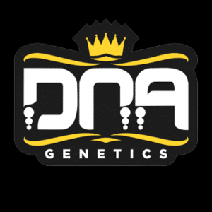 DNA Genetics 3ct Autoflowering Seeds, Assorted Strains