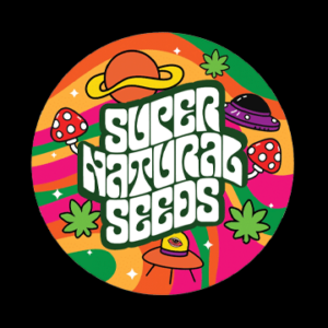 Super Natural Seeds 3ct Autoflowering Seeds, Assorted Strains