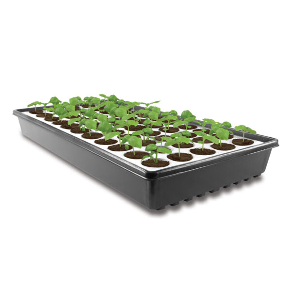 Agro Max Clone Kit