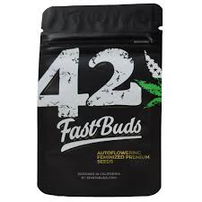 Fastbuds 3ct Autoflowering Cannabis Seeds