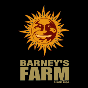 Barney's Farm 3ct Photoperiod Cannabis Seeds